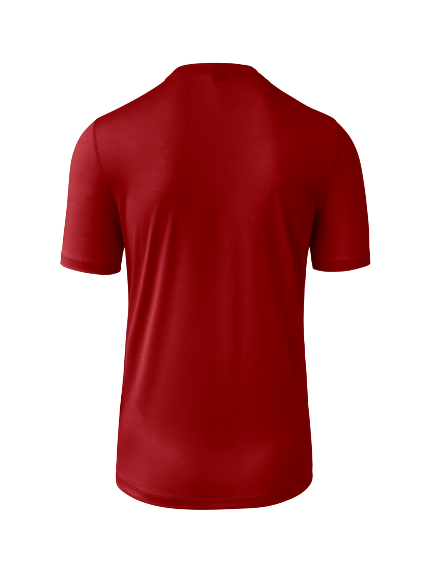Martini Sportswear - Alpmate Summit Shirt M - T-Shirts in red moon-white - Rückansicht - Herren